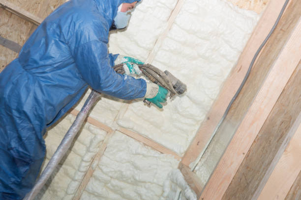 Best Radiant Barrier Insulation  in Mclouth, KS